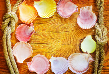 Similar image 8185501