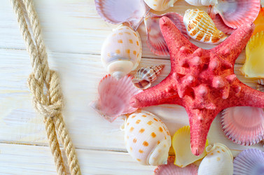 Similar image 8185521