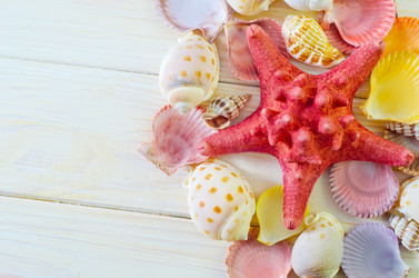 Similar image 8185523