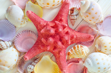 Similar image 8185524