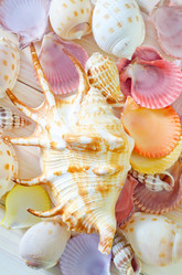 Similar image 8185527