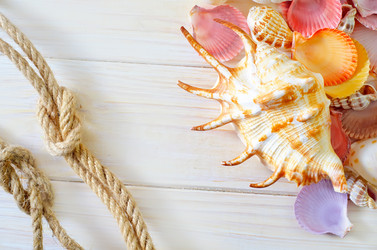 Similar image 8185528