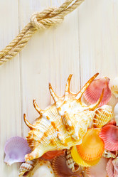 Similar image 8185539