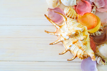 Similar image 8185540