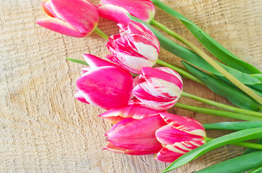 Similar image 8185929