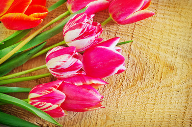 Similar image 8185938