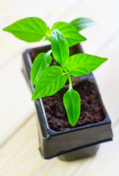 Similar image 8185952