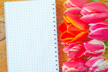 Similar image 8185953