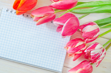 Similar image 8185955