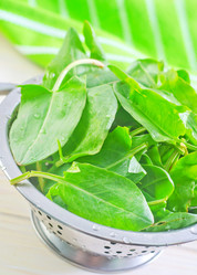 Similar image 8185962