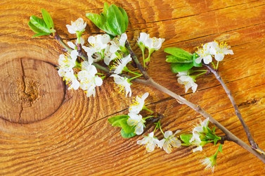 Similar image 8185978