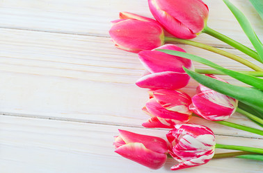 Similar image 8185985