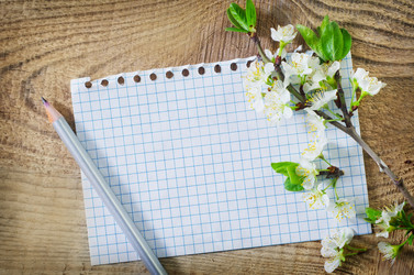 Similar image 8186003