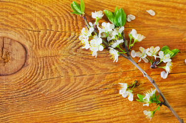 Similar image 8186006