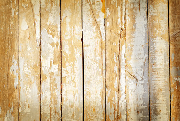 Similar image 8186155