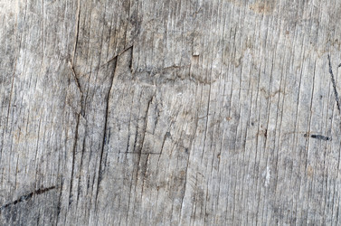 Similar image 8186162