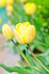 Similar image 8186183