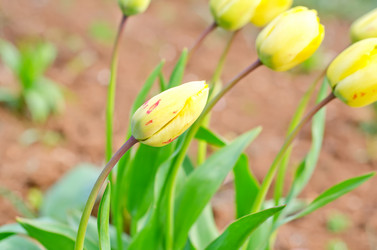 Similar image 8186185