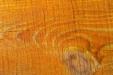 Similar image 8186310