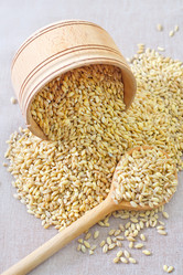 Similar image 8186438