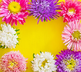 Similar image 8186742