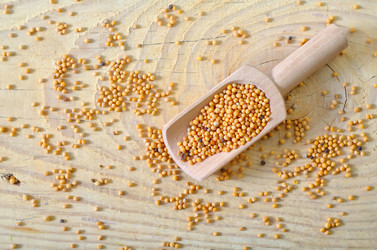 Similar image 8186870