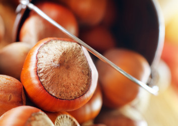 Similar image 8186875