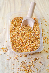 Similar image 8186886