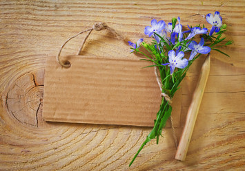 Similar image 8186914