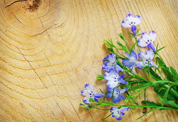 Similar image 8186964