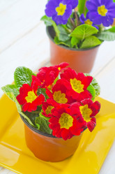 Similar image 8187068