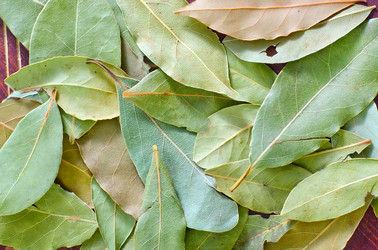 Similar image 8187247