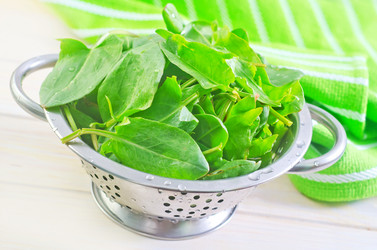 Similar image 8187248