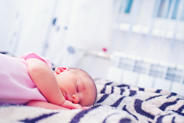 Similar image 8187350