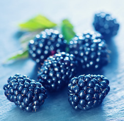 Similar image 8187414