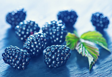 Similar image 8187462