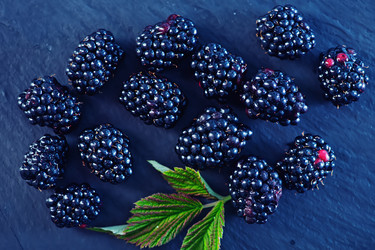 Similar image 8187463