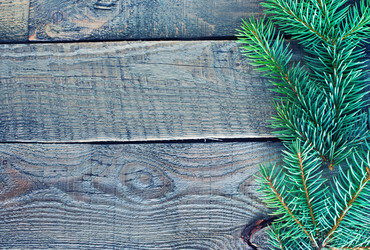 Similar image 8187539