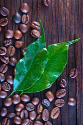 Similar image 8187554