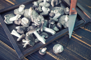 Similar image 8187608