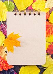 Similar image 8187613