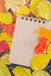 Similar image 8187614