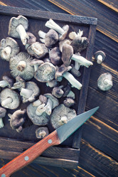 Similar image 8187624