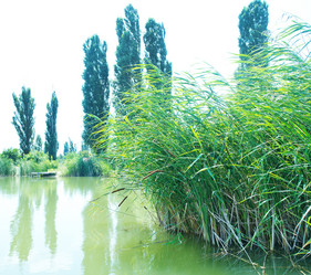 Similar image 8187634