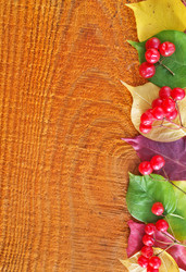 Similar image 8187639