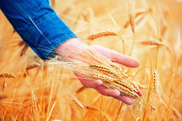 Similar image 8187642