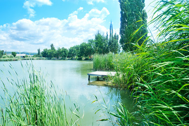 Similar image 8187647