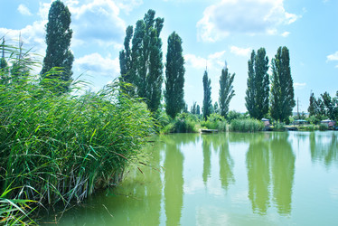 Similar image 8187661