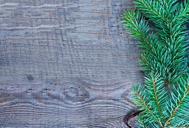 Similar image 8187668