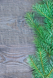 Similar image 8187679